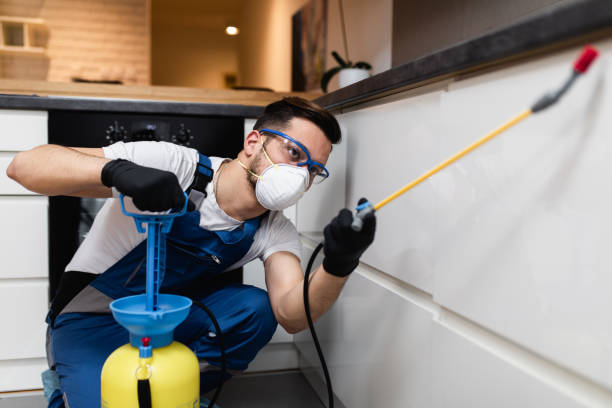 Best Affordable Pest Control Services  in Muncie, IN