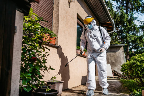 Best Rat Extermination Near Me  in Muncie, IN
