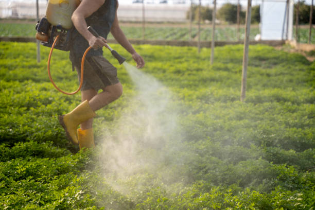 Pest Control Cost in Muncie, IN