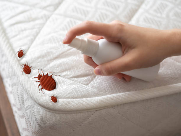 Best Mosquito Control Services  in Muncie, IN