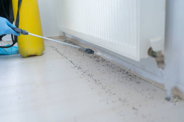 Best Local Pest Control Services  in Muncie, IN