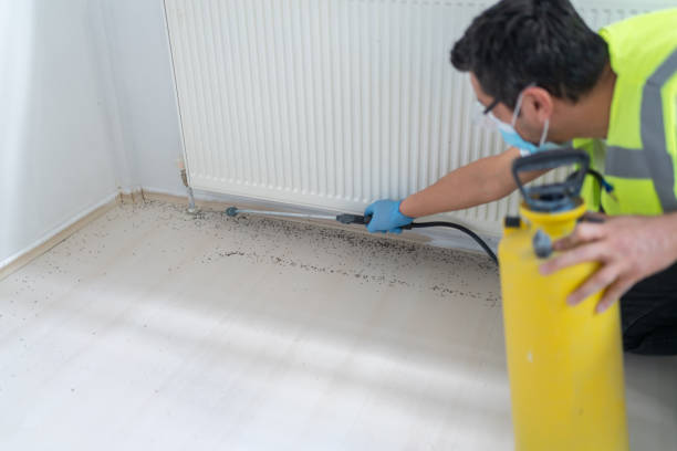 Best Cockroach Control Services  in Muncie, IN