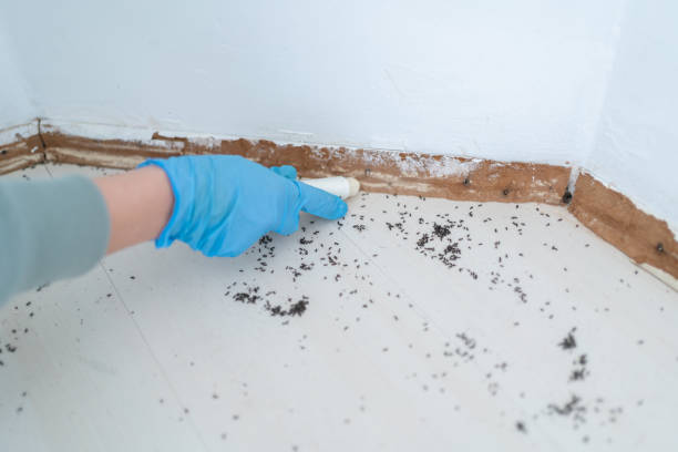 Best Wasp Removal Services  in Muncie, IN