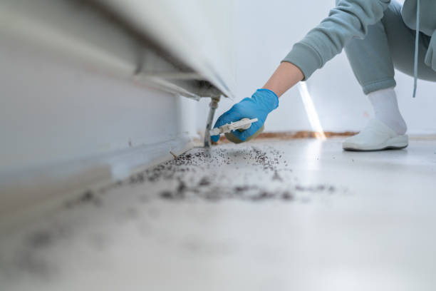Best Affordable Pest Control Services  in Muncie, IN