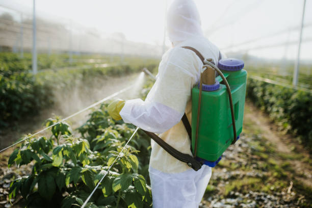 Best Commercial Pest Control Services  in Muncie, IN